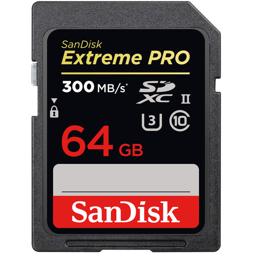 کارت حافظه سن دیسک SanDisk SD 64GB 300mb