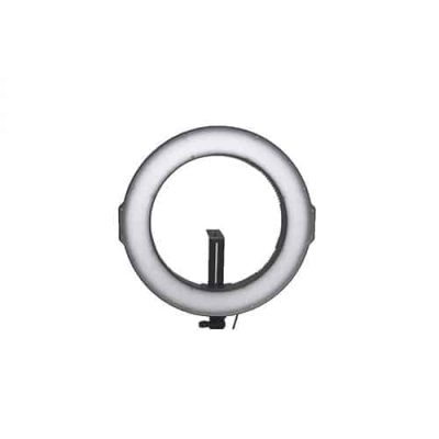 رینگ لایت Ring Light Maxlight 320A