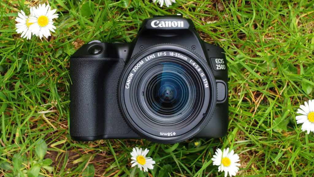 بهترین دوربین‌های DSLR در سال ۲۰۲۴