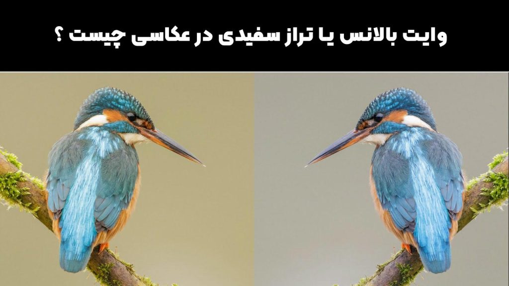 تراز سفیدی چیست؟