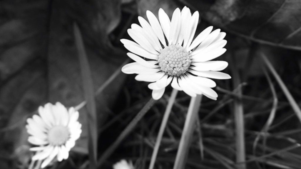 5 نکته برای بهبود عکاسی از منظره سیاه و سفید
